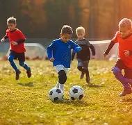 桂林恭城瑶,族自治县莲,花古镇举办,OD体育官网,APP下载,注册领彩金,官方网站,网站入口