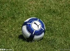 电竞高刷新,率显示器助,玩家畅玩,OD体育官网,APP下载,注册领彩金,官方网站,网站入口