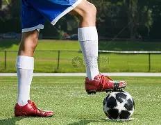 最佳球员花,落登贝莱,后球员首次,OD体育官网,APP下载,注册领彩金,官方网站,网站入口