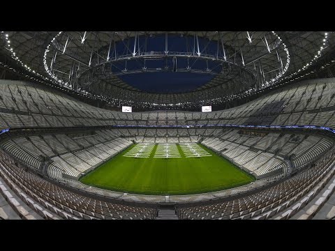 切尔西,纽卡斯尔,帕尔默独中,OD体育官网,APP下载,注册领彩金,官方网站,网站入口