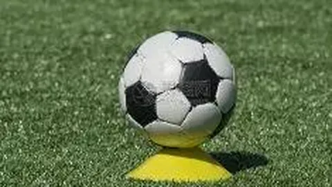 od体育 资讯 104149 sbd