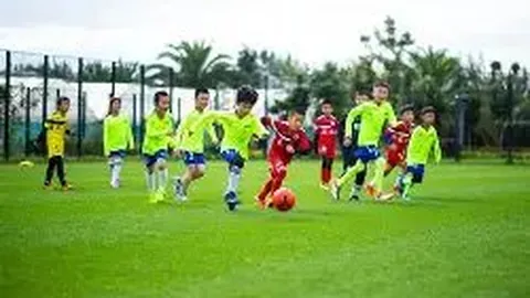 od体育 产品 091236 uy4